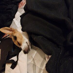 In need not selling don't want to lie sorry